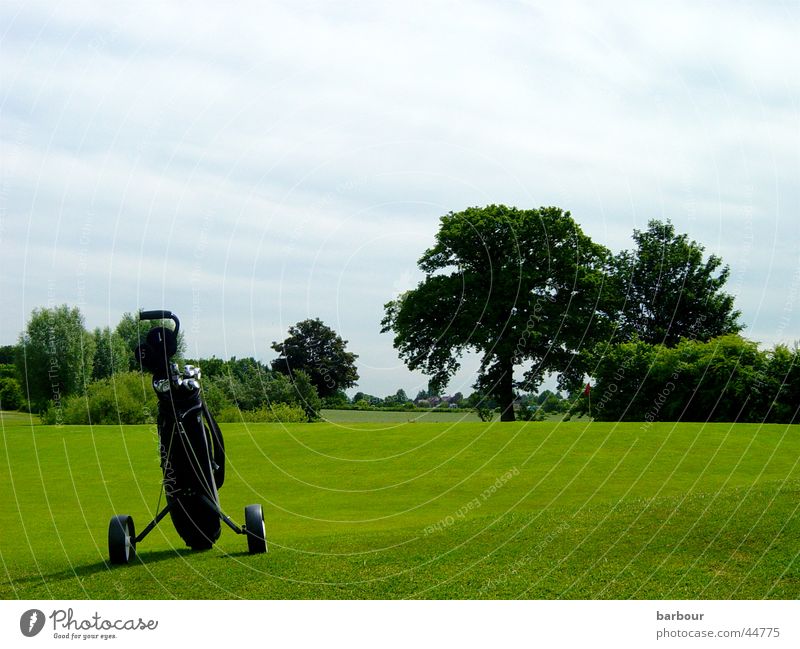 Golfidylle Golfbag grün Baum Golfplatz Wolken Sport