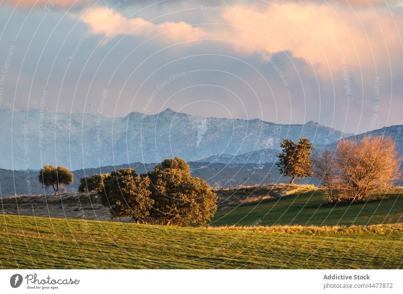 Tal mit Bäumen unter dem Sonnenuntergangshimmel Himmel Feld Baum Landschaft Cloud Spanien Natur Park malerisch Umwelt Wiese idyllisch wolkig majestätisch