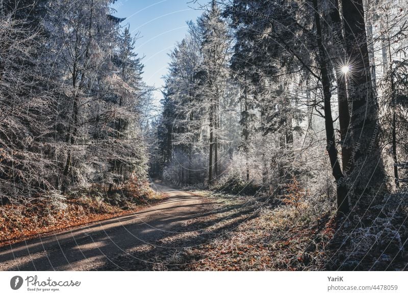 frostig Frost winter wintertau winterwald eiskristalle eisig kalt eiskalt schneeflocken schneekristall glitzern schneeglitzern wintersonne winterweg frostweg