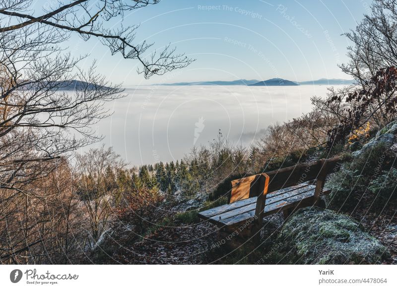 Winternebel hochnebel winter winterlich winternebel winterstimmung frost frostig eisig eiskalt kälte bank ausblick natur landschaft nebelfeld nebelschwaden