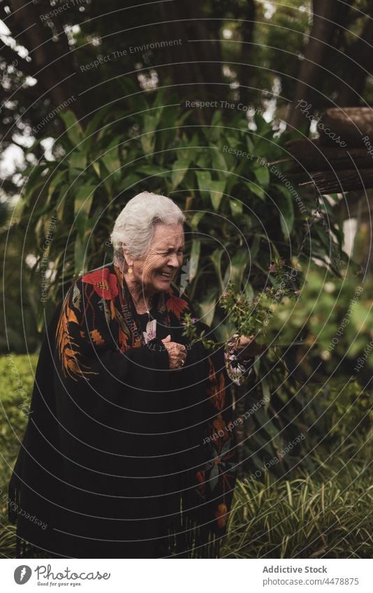 Ältere Frau mit Blumen im Garten älter Lifestyle Senior riechen Blüte in den Ruhestand gehen Blütezeit Aroma Buchse Sommer berühren Flora Pflanze geblümt