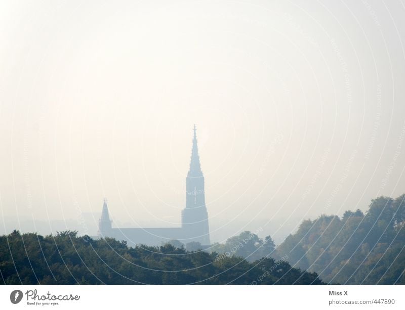 Ulmer Münster Nebel Wald Stadt Skyline Kirche Dom Bauwerk Architektur Sehenswürdigkeit Wahrzeichen Denkmal gigantisch hoch Religion & Glaube Baden-Württemberg