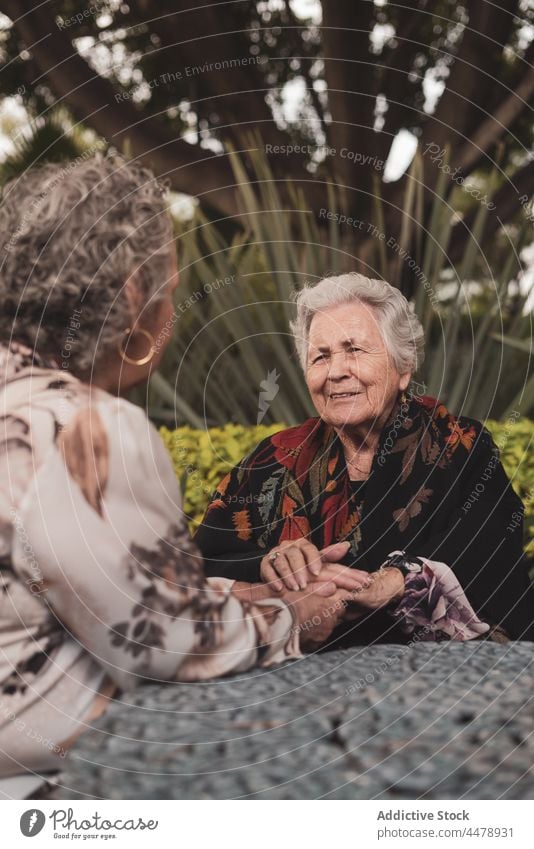 Ältere Frauen unterhalten sich im Garten Senior in den Ruhestand gehen Freund gealtert Sitzung Lächeln Rentnerin Glück sich[Akk] entspannen Lebensalter