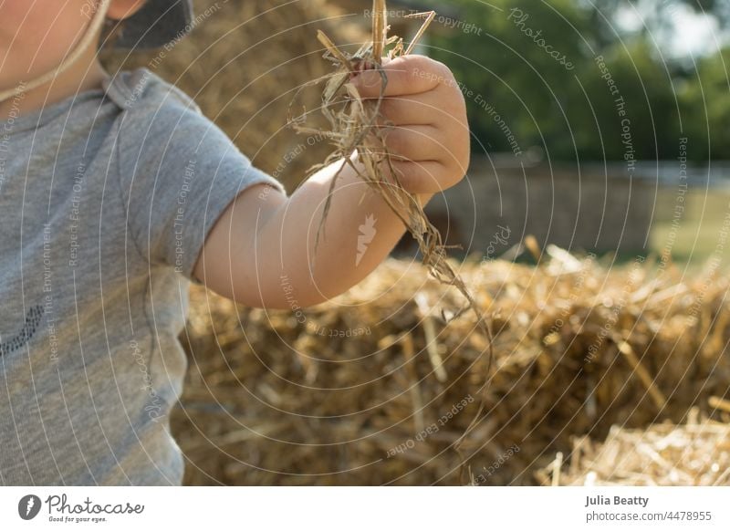 Kleinkind mit einer Handvoll Stroh auf einem Herbstfest, dahinter Heuballen packen sensorisch spielen erkunden riechen fallen Ballen Stadtfest feiern