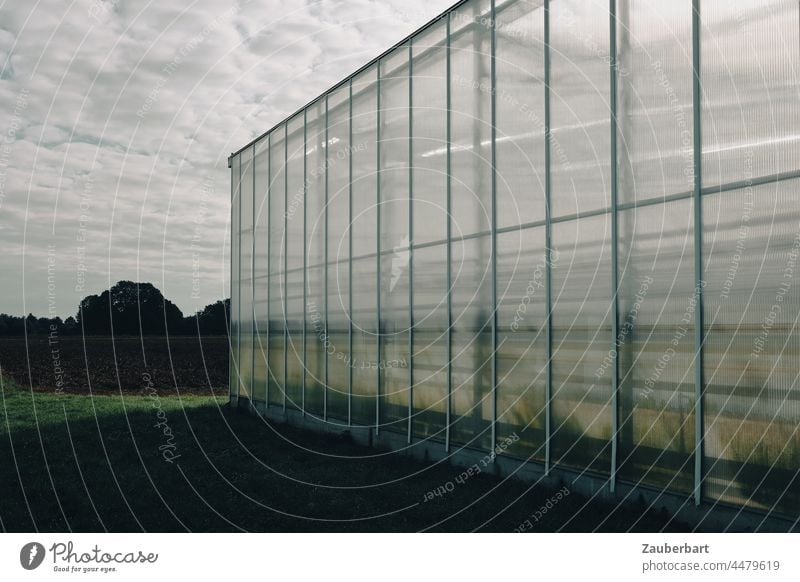 Spiegelnde Fassade aus Glas eines Gewächshauses vor grauem Himmel mit Wolkenstreifen spiegelnd Streifen Spiegelung Reflexion & Spiegelung Architektur modern