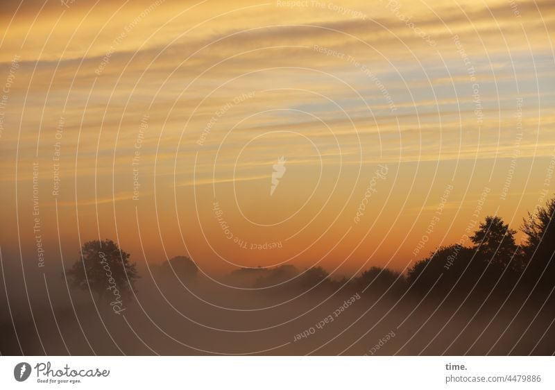 UT Teufelsmoor | foggy Nebel Sonnenaufgang Baum Wolken Himmel spooky phantastisch frühmorgens natur stimmung horizont kalt traumhaft gespenstisch