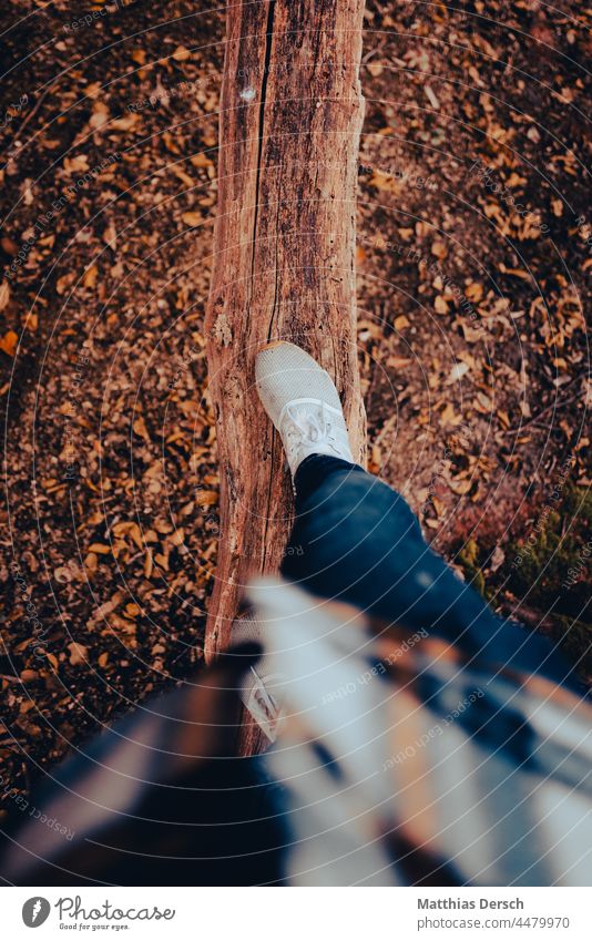 Balanceakt Wald Waldspaziergang Ast Baumstamm pov Natur Außenaufnahme Waldboden Herbst