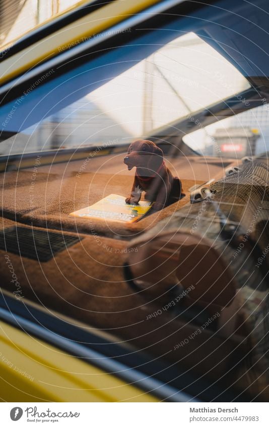 Wackeldackel Hund Dackel Hutablage Auto Außenaufnahme Farbfoto PKW Nostalgie retro Oldtimer alt Fahrzeug