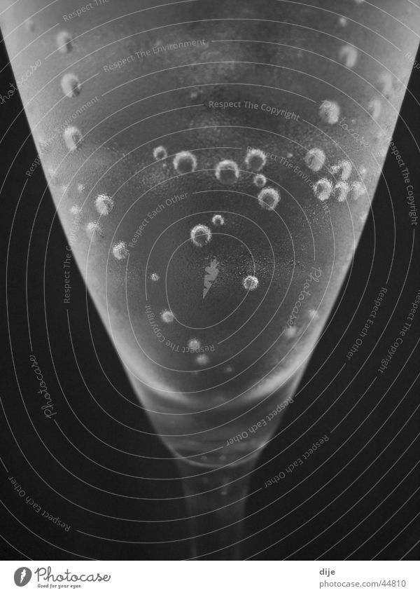 - non alcohol - nass Mineralwasser kalt Alkohol Glas Wasser Schwarzweißfoto Detailaufnahme kein