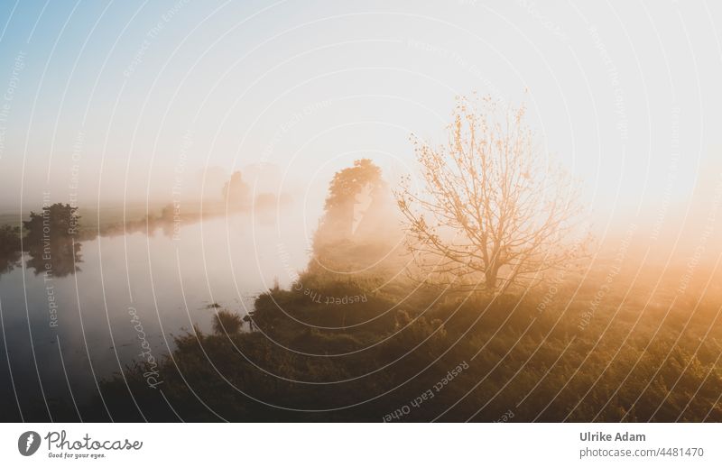 UT Teufelsmoor 2021 - Guten Morgen Sonnenschein Morgendämmerung Sonnenlicht Moor Landschaft Außenaufnahme Trauer trauerkarte romantisch reisen Naturschutzgebiet