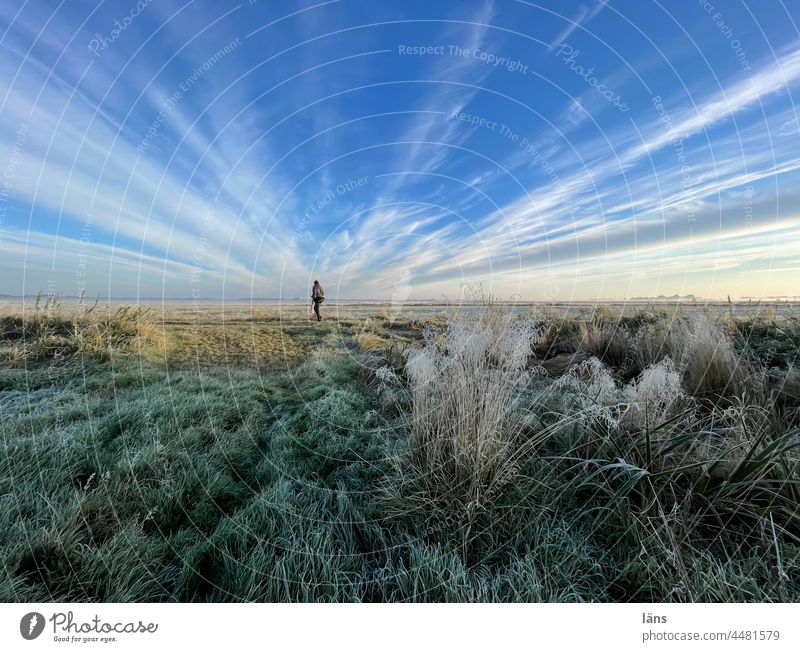 UT Teufelsmoor l Frau im Moor Frost Landschaft Natur Sonnenaufgang Farbfoto Sonnenlicht Eis Morgen kalt Mensch Himmel weite