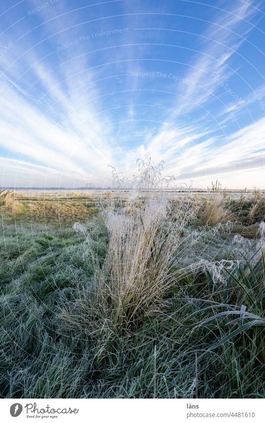 Ut Teufelsmoor l Eiskristallener Booster gefroren Feuerwerk Himmel eiskalt ausdrucksstark eingefangen festgehalten Frost Klima Moor Landschaft Wiese Gras weite