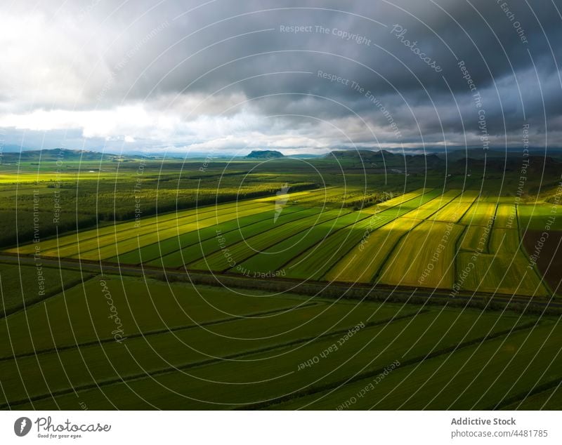 Landwirtschaftliche Felder unter bewölktem Himmel Ackerbau Schonung kultivieren Landschaft Ackerland bedeckt Agronomie vegetieren Island Bauernhof Natur