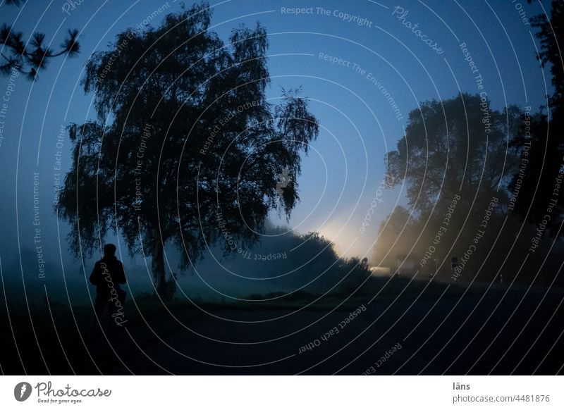 UT Teufelsmoor I Start in den Tag Sonnenaufgang Morgendämmerung Nebel Natur Baum Landschaft Moor Farbfoto Gegenlicht Herbst Mensch Außenaufnahme Scheinwerfer