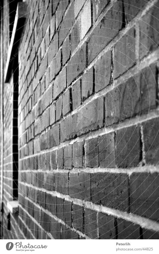 Die Mauer Studium Wand Backstein Fenster Fluchtpunkt schwarz weiß Architektur Münster