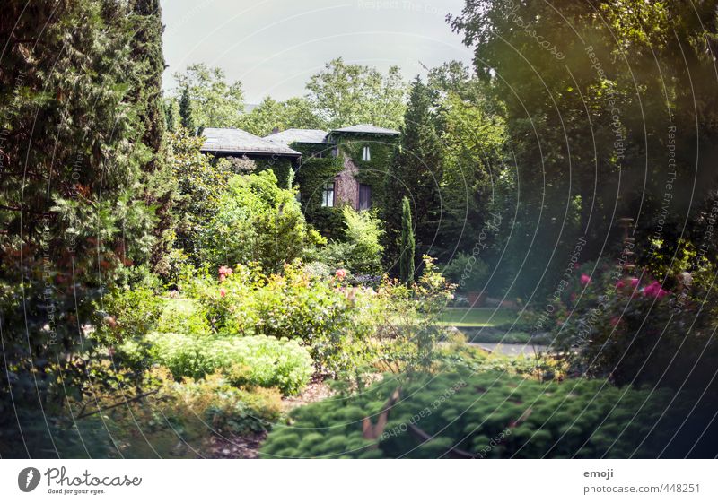 Märchenschloss Umwelt Natur Landschaft Pflanze Schönes Wetter Garten Park Wiese natürlich grün Villa Haus Märchenlandschaft Farbfoto Außenaufnahme Menschenleer