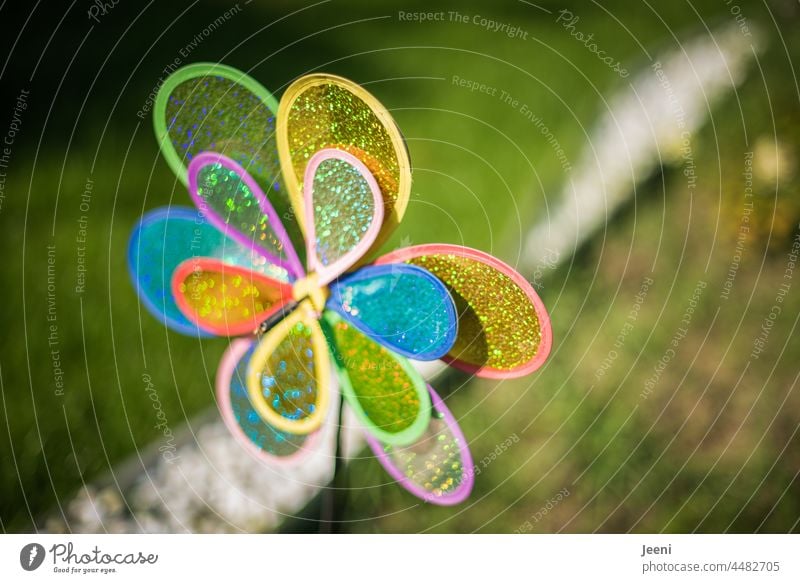 Buntes Windrad für Kinder im Garten Windmühle bunt mehrfarbig drehen Drehung Spielzeug Freude Bewegung Spielen windig Drehbewegung Geschwindigkeit blau grün rot