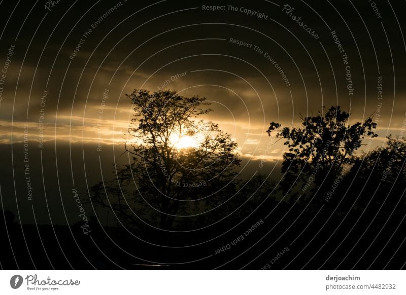 Der Tag geht zu Ende. Die Sonne verschwindet am Horizont. Sonnenuntergang Himmel Abenddämmerung Dämmerung Menschenleer Silhouette Schönes Wetter Kontrast Sommer