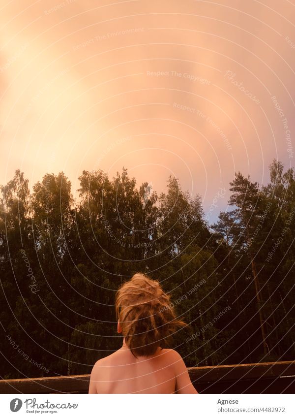 Kleiner Junge mit Dreadlocks schaut in den rosa Himmel Rastalocken Sonnenuntergang pinksky rosa Hintergrund Naturwunder Wunder Moment Abend Abendsonne