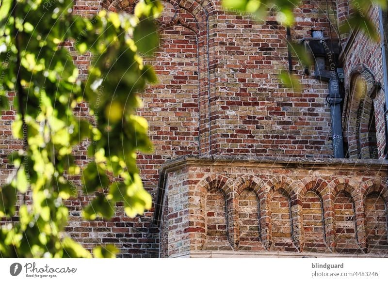 Um welch holder Maid wohl hier zu vergang'ner Zeit der Jüngling im ihr Herz gefreit Balkon historisch alt Ziegelstein Belgien Brügge Baum Blägtter Sommer Balon