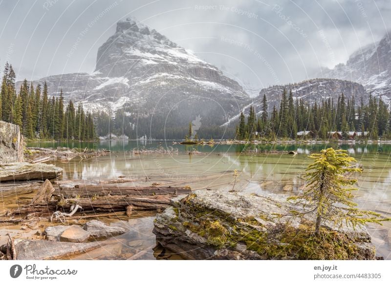 Bergsee Starke Tiefenschärfe Winter Schnee See Berge Wälder Landschaft verschneit Natur Berge u. Gebirge kalt Ferien & Urlaub & Reisen Abenteuer Freiheit