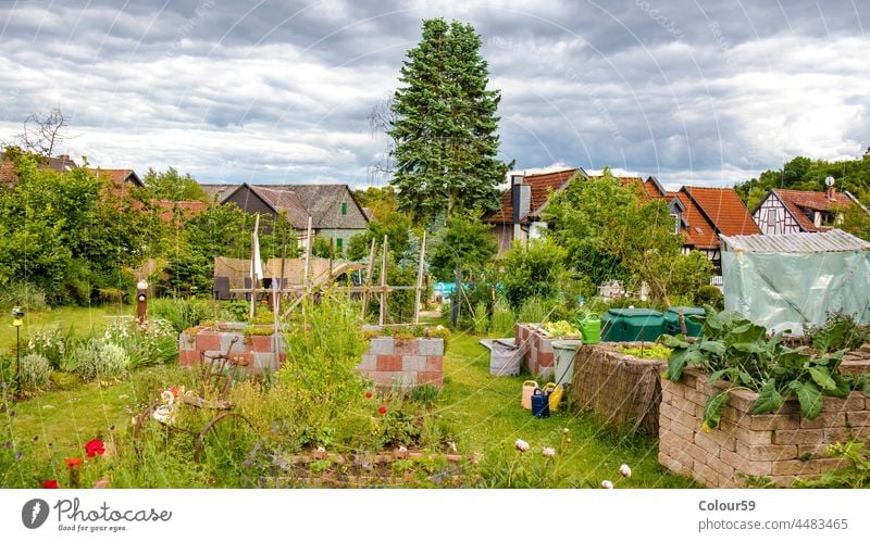 Schöner Garten mit Hochbeeten Vorbau grün Natur natürlich Sommer Frühling schön Pflanze Blatt Hintergrund Gartenarbeit Saison Farbe Gemüse Wachstum Park