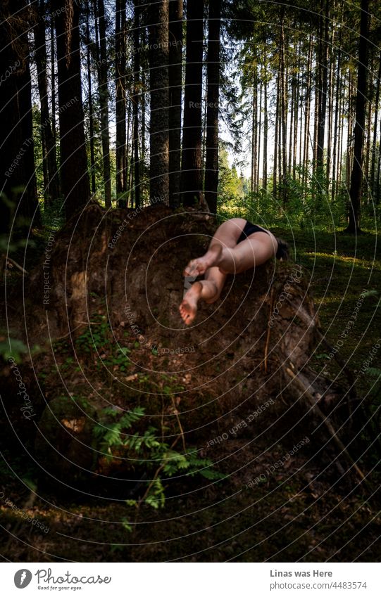 In den wilden Wäldern gibt es einige umwerfende wilde Mädchen. Mit langen Beinen, schwarzen Dessous und allen möglichen wilden Sachen. Natürlich ist dieser Wald auch von sich aus wunderschön. Hohe Kiefern, grüne Farne und unheimliche Wurzeln. Es gibt hier alles Mögliche.