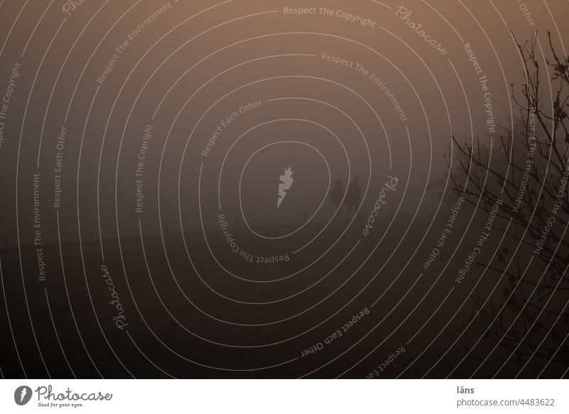 UT  Teufelsmoor l Menschen im Nebel gehen Landschaft Morgendämmerung diesig düster geheimnisvoll mystisch lebenswege Depression Novemberblues nirgendwo