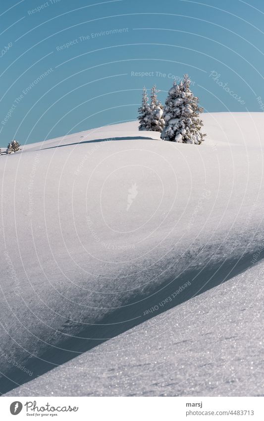 Winterzauber. Unberührte Schneelandschaft mit verschneiten Nadelbäumen. Weihnachten & Advent Winterstimmung Winterurlaub kalt Landschaft weiß Natur Wintertag