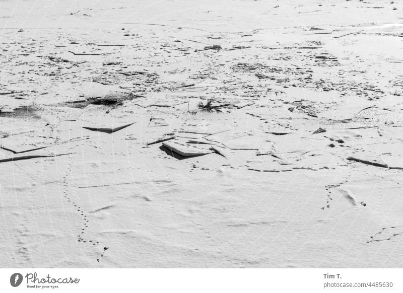 Blick auf die zugefrorene Spree Berlin Mitte Fluss Winter Schnee Außenaufnahme Hauptstadt Menschenleer Stadtzentrum Deutschland Eis Tag kalt Berlin-Mitte