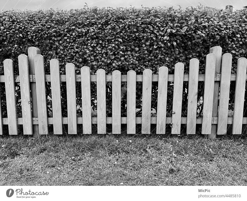 Zaun Gartenzaun schwarz weiss „Ab durch die Hecke“ zaungast Außenaufnahme Grenze Holz Holzzaun Schwarzweißfoto lattenzaun Abgrenzung grauer Tag Wegrand Barriere