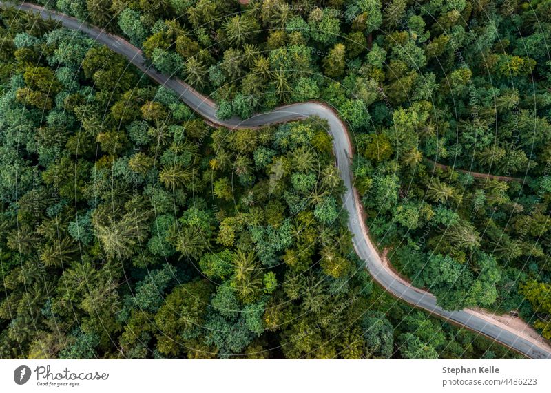 Eine kurvenreiche Straße von oben, die durch einen grünen Wald führt. Drohne Schuss für Tapeten, von oben nach unten von oben Luftaufnahme im Spätsommer.