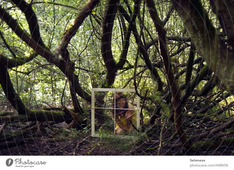 Be careful what you wish for Ausflug Sommer Mensch feminin Frau Erwachsene 1 Umwelt Natur Landschaft Schönes Wetter Pflanze Baum Sträucher Moos Wald träumen