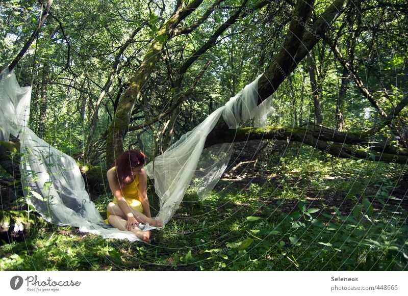 draußen träumen Ausflug Sommer Sonne Mensch feminin Frau Erwachsene 1 Umwelt Natur Landschaft Klima Schönes Wetter Pflanze Baum Gras Moos Blatt Wald Stoff