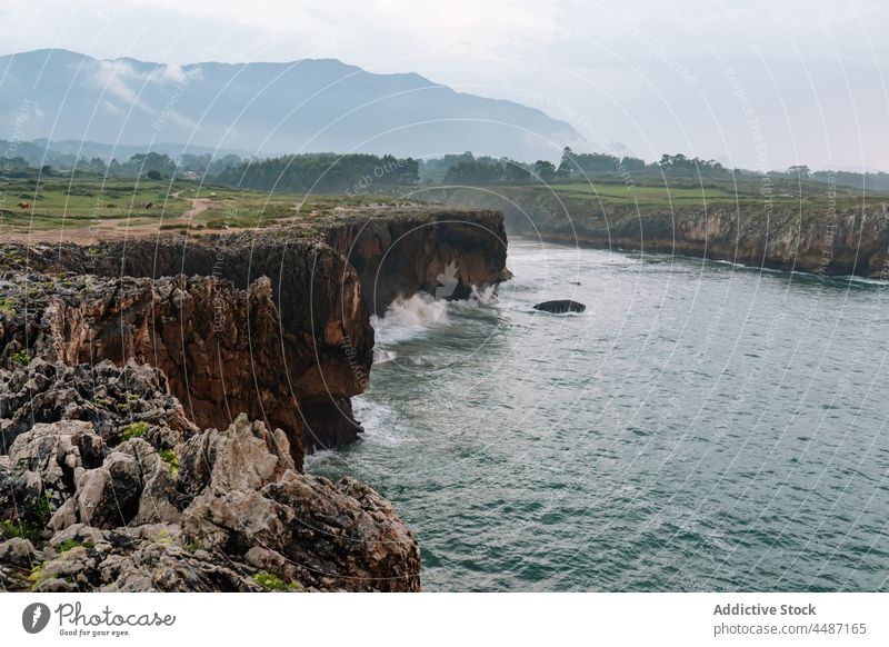 Felsküste am plätschernden Meer MEER Wasser Küste steil Felsen Meeresufer Berge u. Gebirge Seeküste Ufer Hafengebiet Wasserseite Meereslandschaft Umwelt Rippeln