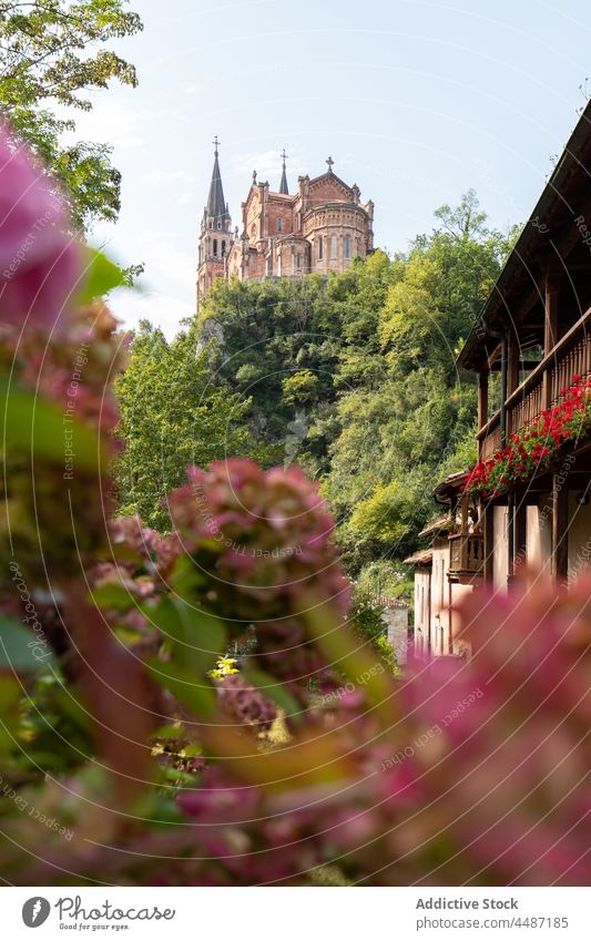 Mittelalterliche Basilika in der Nähe grüner Bäume in Spanien basilica de santa maria la real de covadonga Kirche historisch Architektur Religion Blume Pflanze