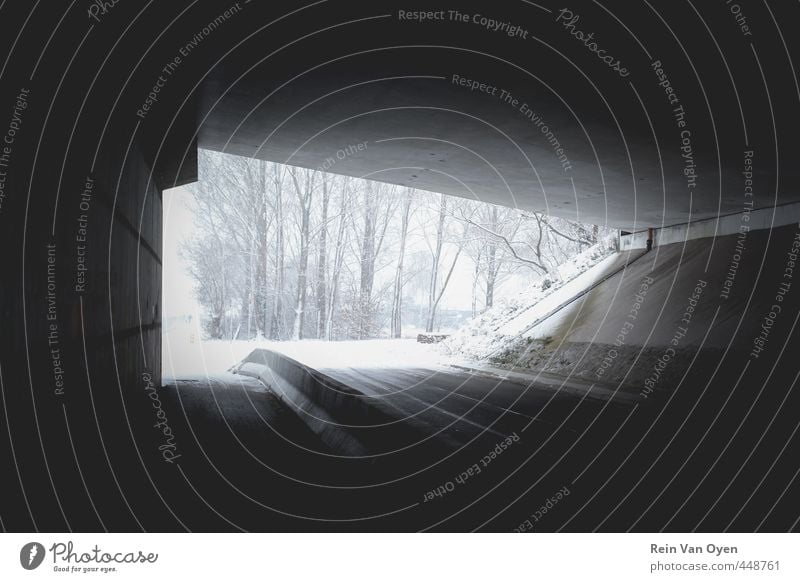 Unter der Brücke Tunnel Einsamkeit Reue Winter Schneefall dunkel kalt Baum unten Gedeckte Farben Außenaufnahme Morgen Morgendämmerung Tag Starke Tiefenschärfe