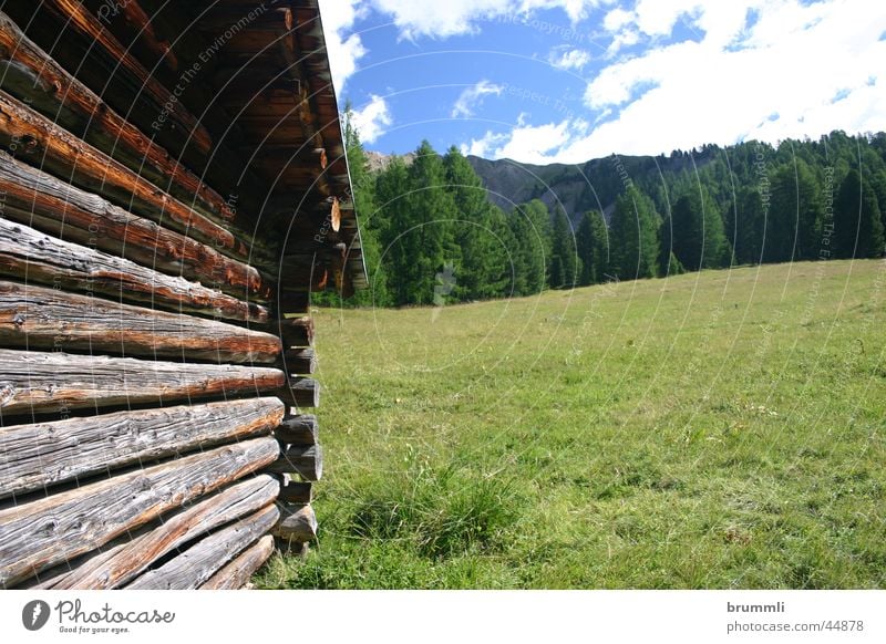 Almwirtschaft II Holz Holzhaus Bergwiese Scheune Heuschober Wiese Dolomiten Sommer Sommertag Ferien & Urlaub & Reisen Erholung Holzmehl Architektur