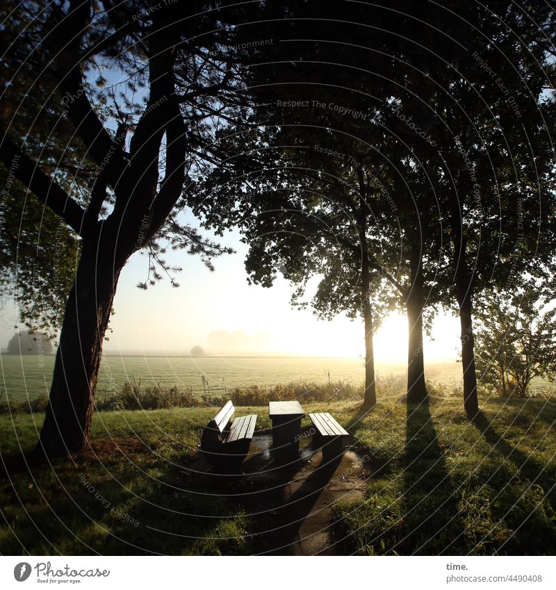 UT Teufelsmoor | wakeup rastplatz morgendämmerung baum nebel horizont Natur Landschaft Himmel diesig romantisch weite Reisen Herbst Morgen Gegenlicht ruhig