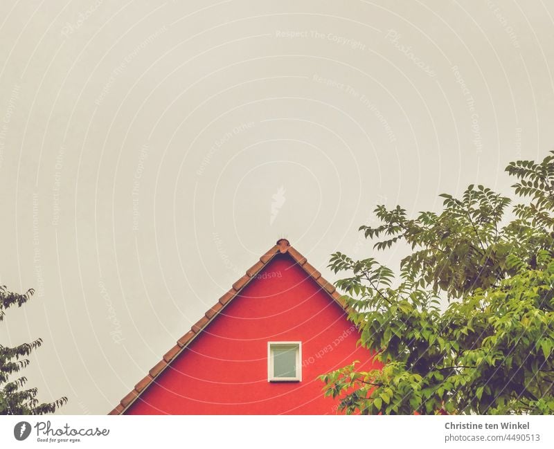 Leuchtend roter Hausgiebel mit einem kleinen Fenster und Laubbäume vor hellem Himmel Dachgiebel Giebel Fassade Gebäude Wand Architektur Bauwerk Äste und Zweige