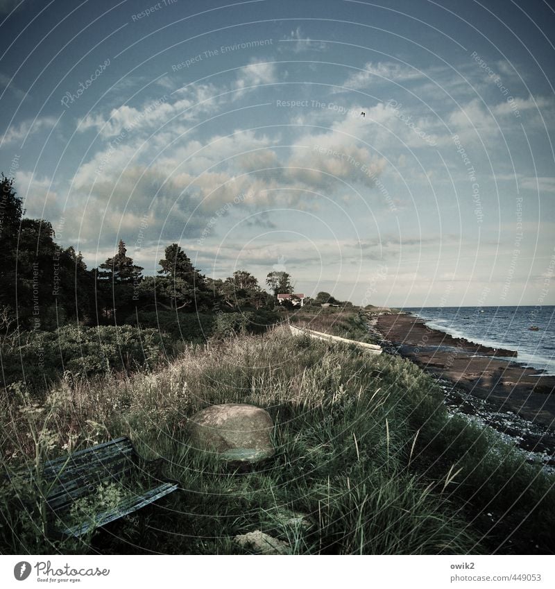 Bankenkrise Umwelt Natur Landschaft Pflanze Himmel Wolken Horizont Klima Wetter Schönes Wetter Baum Sträucher Küste Ostsee Schonen natürlich ruhig Idylle Ferne