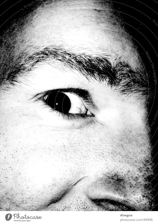 das kohnische auge maskulin Augenbraue Mann freaky Schwarzweißfoto Gesicht Nase