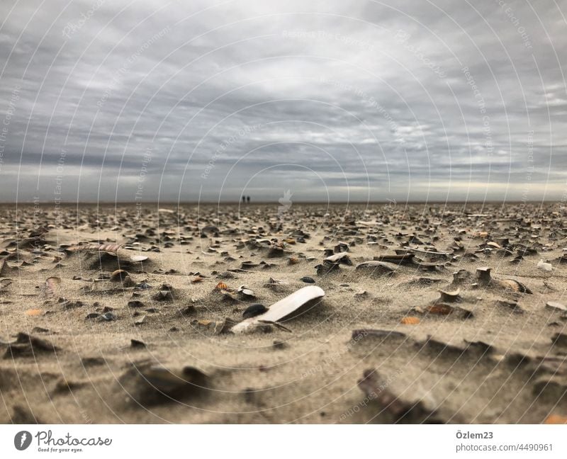 Strandtag Strand und Meer Beach Langeoog weite grau Steine am Strand