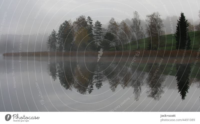 Stimmungsvoll im Herbst am See Reflexion & Spiegelung Natur Landschaft ruhig Himmel Idylle neblig Laubbaum Västra Götalands län Schweden Silhouette Seeufer