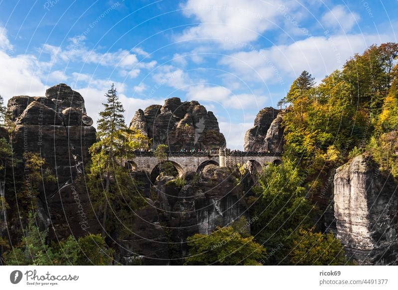 Blick auf die Bastei in der Sächsische Schweiz Elbsandsteingebirge Basteibrücke Felsen Berg Gebirge Baum Wald Sachsen Natur Landschaft Herbst Sehenswürdigkeit