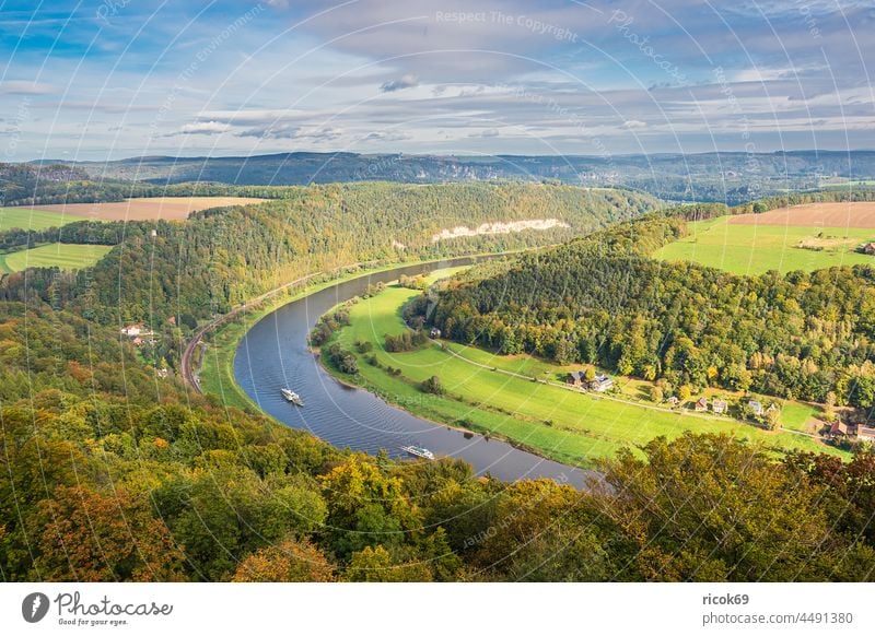 Blick über die Elbe auf die Sächsische Schweiz Elbsandsteingebirge Feld Wiese Fluss Baum Wald Sachsen Natur Landschaft Herbst Dampfer Ausflugsschiff Berg