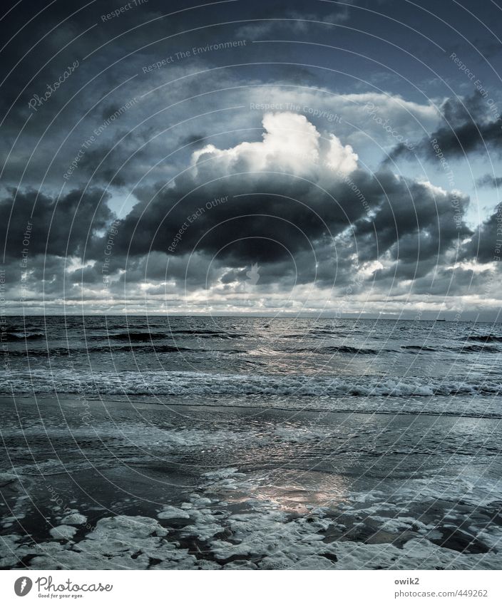 Cumulus Umwelt Natur Urelemente Wasser Himmel Wolken Gewitterwolken Klima Wetter Schönes Wetter Wellen Küste Ostsee Meer gigantisch groß Unendlichkeit