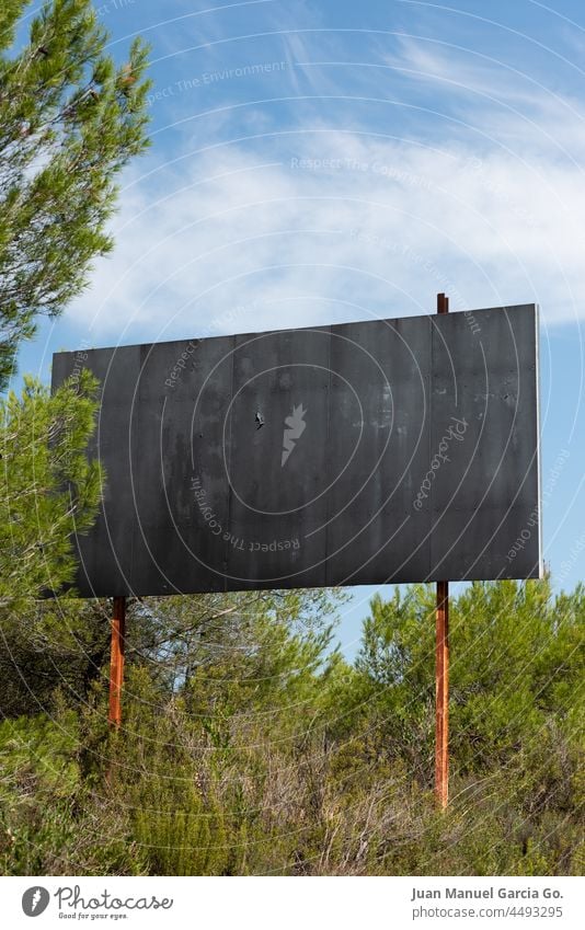 Leeres schwarzes Werbeplakat im Gebüsch. steril geheimnisvoll Hoffnung Versagen Marketing wirtschaftlich Plakat seltsam lustig bereuen neugierig Möglichkeit