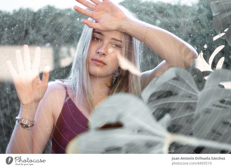 Eine attraktive junge Frau, die durch Glas in die Kamera schaut und von Pflanzen umgeben ist Junge Frau Mädchen hübsch Lifestyle Menschen Garten Person weiß