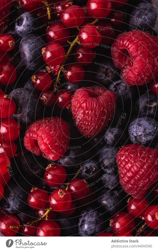 Frische reife Beeren, sortiert Himbeeren Johannisbeere Blaubeeren Lebensmittel rot natürlich frisch süß lecker trocknen Dessert mischen geschmackvoll organisch